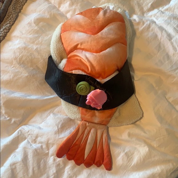 Sushi dog costume for medium dog